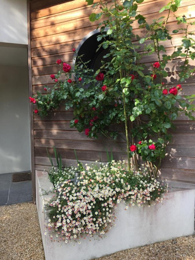 La Belle Relax - Calme Et Tranquillite Assures - 2 Personnes Bed & Breakfast Moëlan-sur-Mer Dış mekan fotoğraf